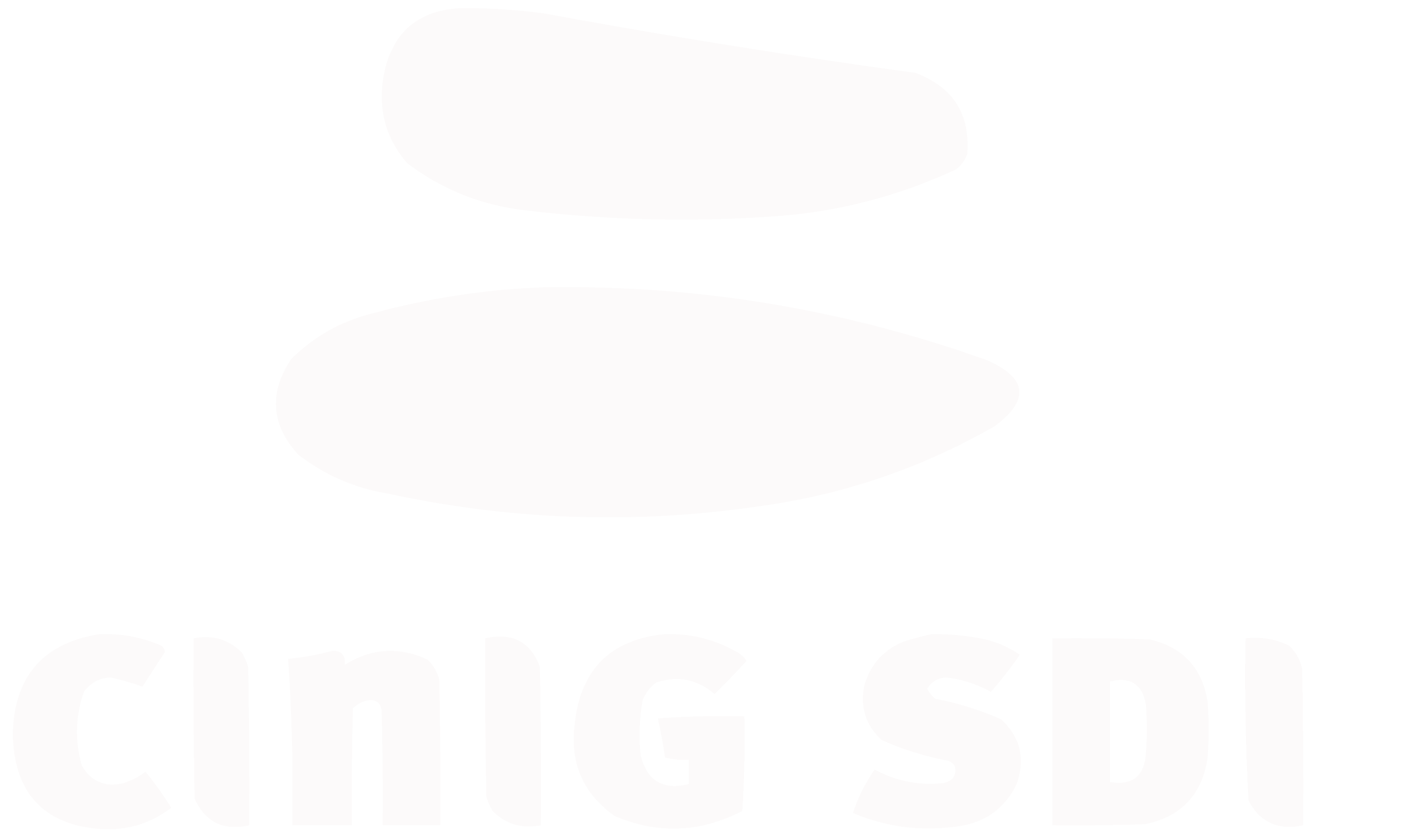 CInIG SDI