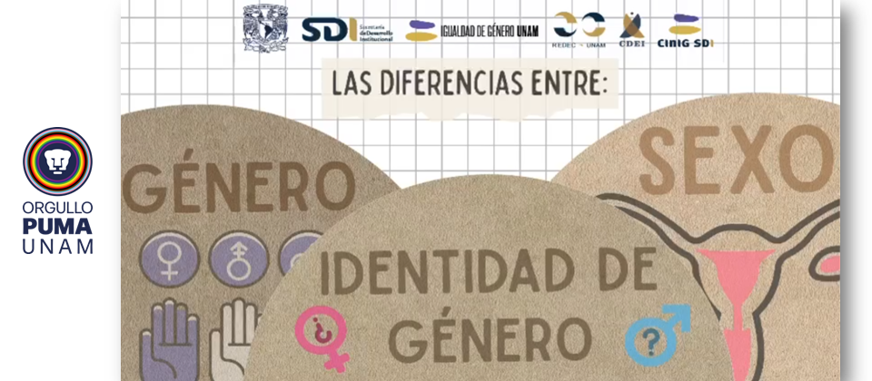 CInIG SDI