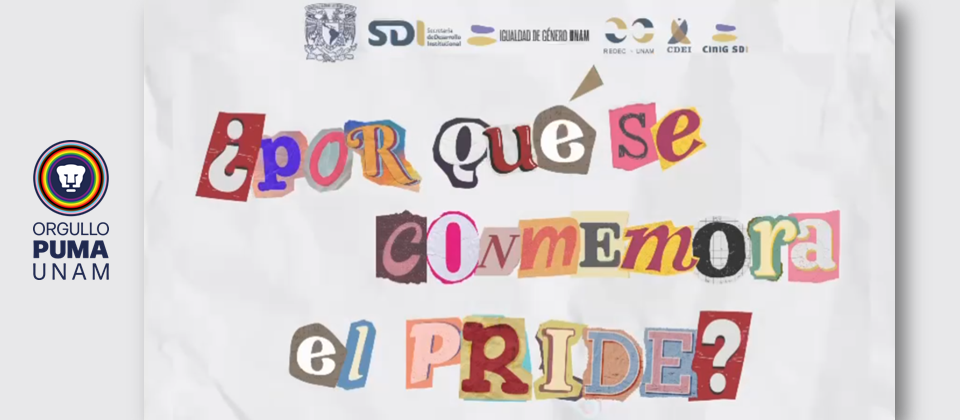 CInIG SDI